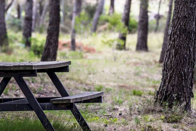 SERVICIOS | Camping Santes Creus