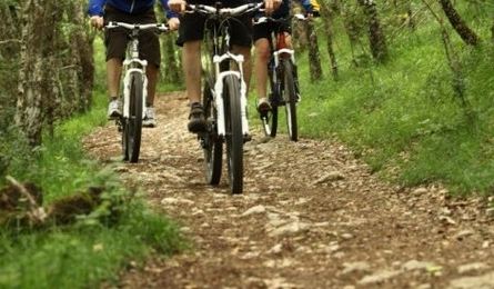 BTT