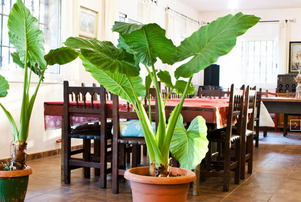Bar Restaurante